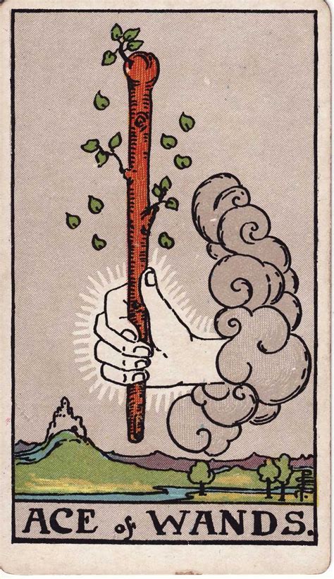 As de bastos tarot